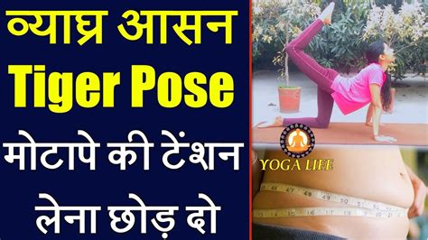 Tiger Pose Yoga Vyaghrasana Weight Loss क सथ सथ दग कई लभ