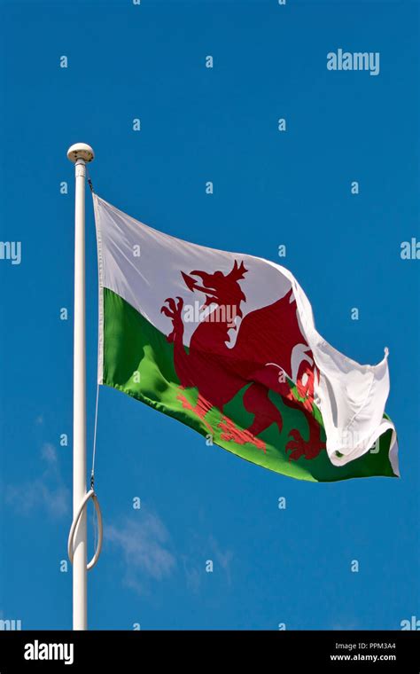 Vertical Close Up Of The Welsh Flag At Fullmast Stock Photo Alamy