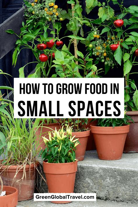 How To Grow Food In Small Spaces Container Gardens Vertical Gardens