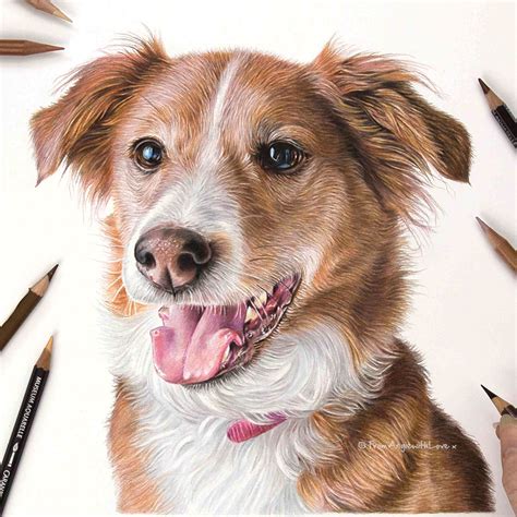 Colored Pencil Dog Portrait Custom Pet Portrait Hand Drawn Art From
