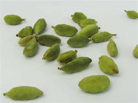 How To Grow Cardamom In Pots Soil Propagation Planting And Care