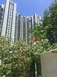 Siu Sai Wan Estate Sui Tai House (小西灣邨 瑞泰樓), Siu Sai Wan | OneDay (搵地)