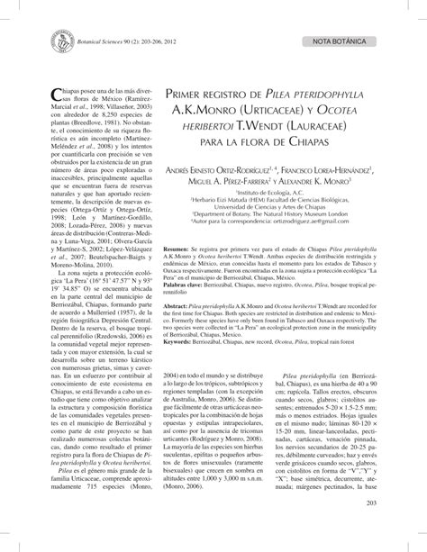 PDF Primer Registro De Pilea Pteridophylla A K Monro Urticaceae Y