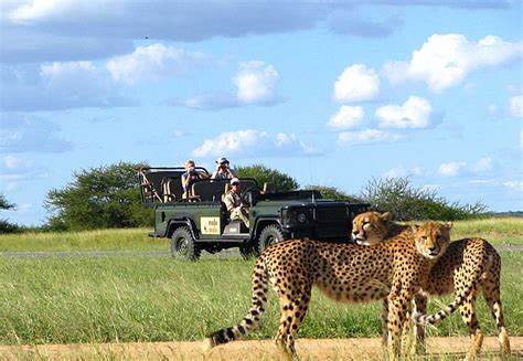 Kruger Park Safaris Cost And Prices Kruger Safari Holidays Kruger Tours