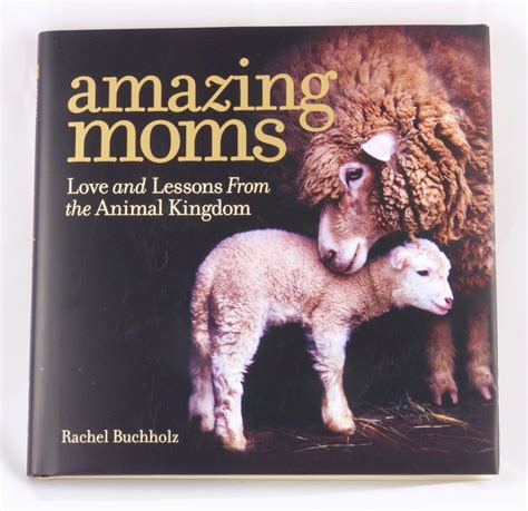 Amazing Moms Love And Lessons From The Animal Kingdom Microcosm