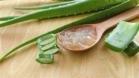 Check out the top 10 reason to drink forever aloe vera gel and drink aloe vera detox & improve your immune system. How to Extract Aloe Vera Gel and the Health Benefits ...