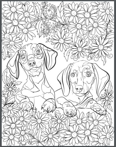 19 Dachshund Coloring Pages For Adults Printable Coloring Pages