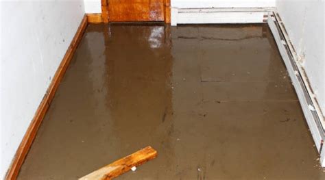 Best Flooring For Flood Prone Basement Flooring Guide By Cinvex