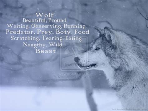 Wolf Love Poems Diamante Poem Wolf Poem Wolf Love Poetry For Kids