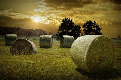 Farm Field With Hay Bales At Sunrise In West Michigan Photograph By