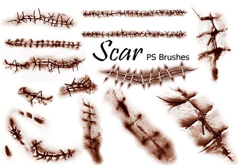 Scar Free Brushes 13 Free Downloads