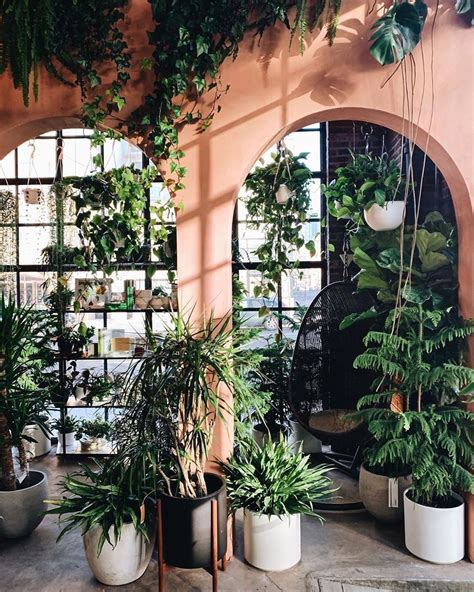House Plant Club On Instagram Anyone Else Plant Shopping This Weekend
