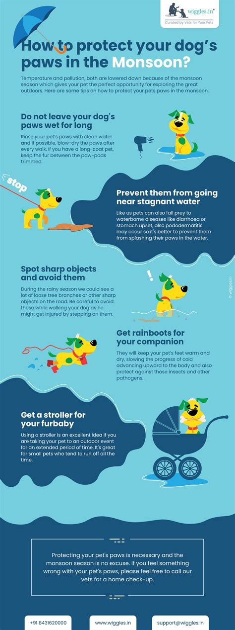 How To Protect Your Dogs Paws In The Monsoon Animal Infographic