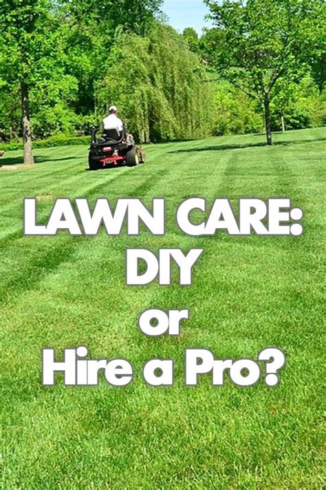 Diy Vs Professional Lawn Care In Omaha