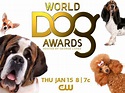 The World Dog Awards on The CW online: Watch Ian Somerhalder and Paris ...