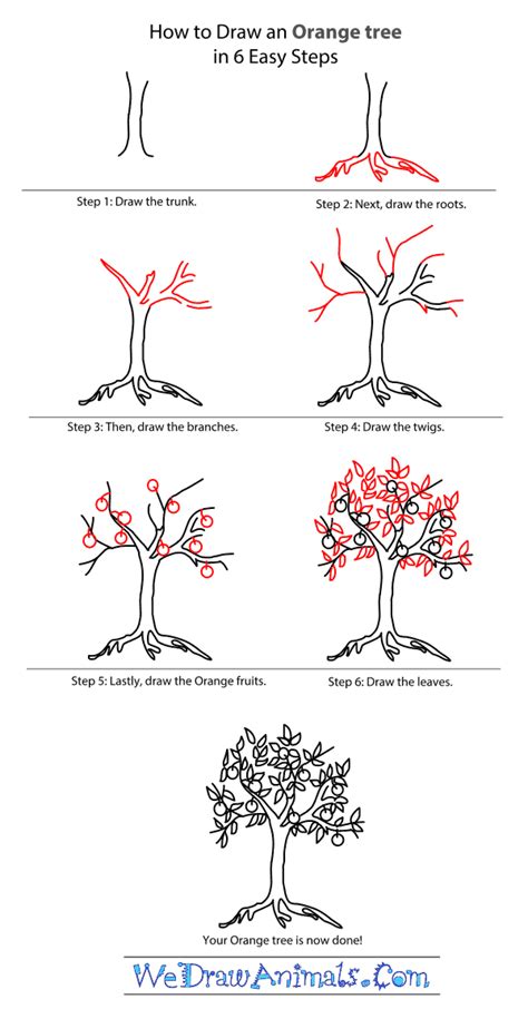 How To Draw An Orange Tree