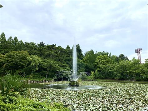 呼続公園｜スリリングなピンク富士山と池の噴水が人々を惹きつける公園 愛知まるっとパークガイド
