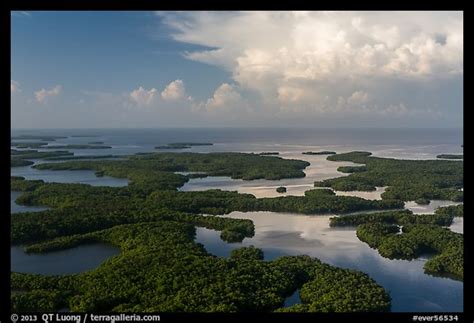 Picturephoto Aerial View Of Ten Thousand Islands And Gulf Of Mexico