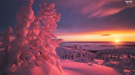 Great Sunsets Winter Snow Covered Trees Beautiful Views Wallpapers