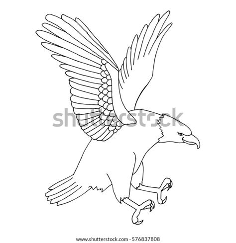 Eagle Landing Illustration Stock Vector Royalty Free 576837808