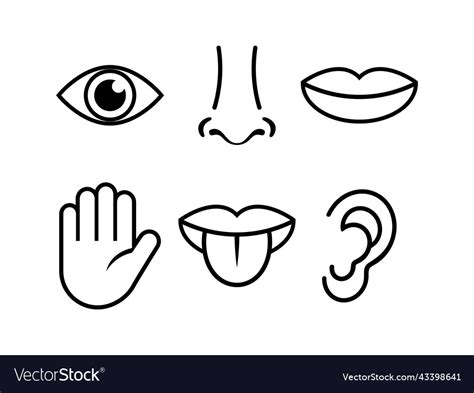 Body Parts Human Sense Eye Nose Ear Mouth Hand Set