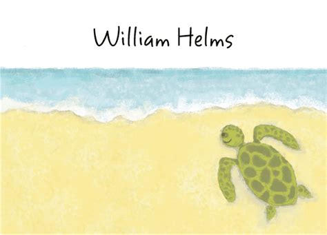 Sea Turtle Stationery By Amy Adele