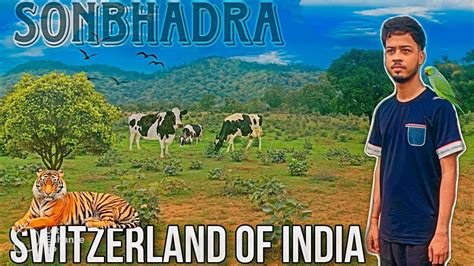 Get Ready for a Wild Ride: SONBHADRA's Adventure Wonderland Awaits