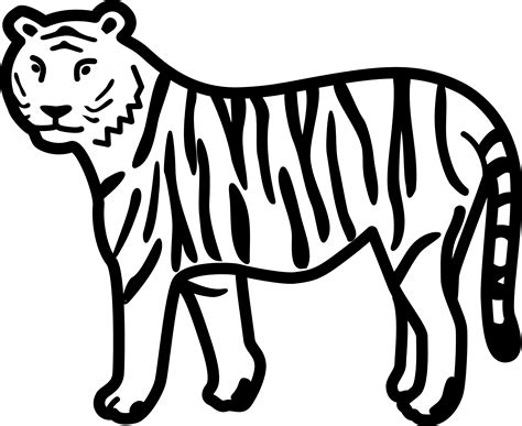 Download Hd Tiger Clipart Black And White Tiger Drawing Clip Art