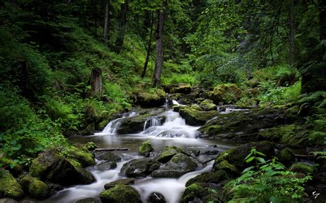 River Deep In The Black Forest Germany 1600x1000 By Nyclaudiotesta