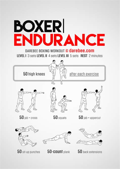 Boxer Endurance Workout