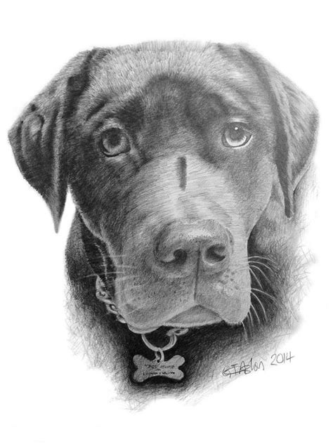 Let's make a couple of simple dog sketches details don't matter much here. Dogs Archives - Page 2 of 3 - Garry's Pencil Drawings