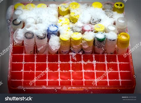 Frozen Laboratory Test Tubes Box Container Stock Photo Edit Now 472725163