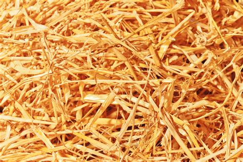 Straw Texture Free Stock Photo Public Domain Pictures