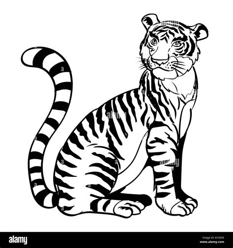 Top Dibujos De Tigres Blancos Expoproveedorindustrial Mx