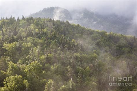 Franconia Notch State Park White Mountains Nh Usa Photograph By Erin