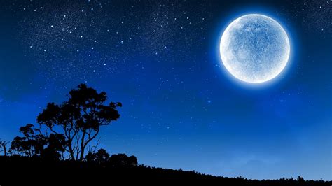 Moon Full Moon Night Night Sky Starry Silhouette Starry Night 4K