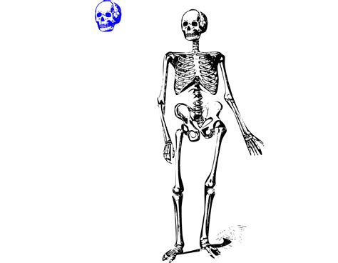 Clipart Animation Of Skeleton 3