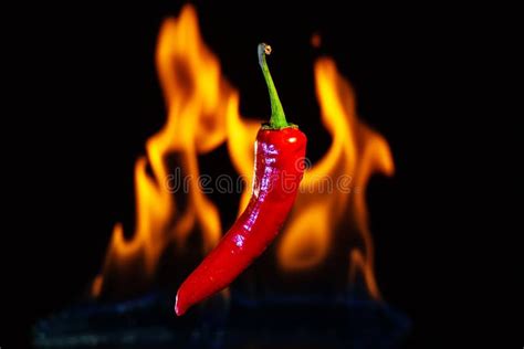 Red Hot Chilli Pepper With The Fire Flames Stock Image Image Of Cook