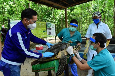 An Education In Biodiversity Conservation At Aboitiz Cleanergy Park