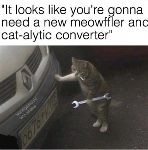 Mechanic Cat Rcatswithjobs
