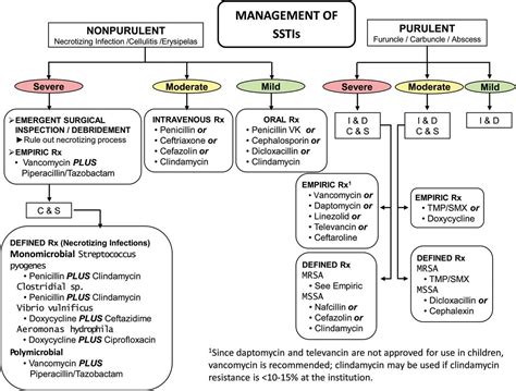 Guidelines For The Diagnosis And Management Of Skin And Soft Tissue