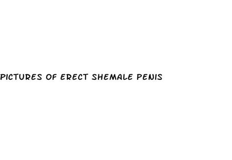 Pictures Of Erect Shemale Penis