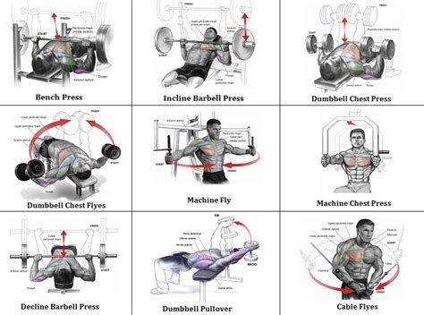 Best Workout Chest Routine Exercise Your Chest Once A Week ~ Multiple Fitness