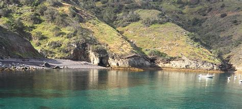 Conserving Marine Life Along Catalinas Coast