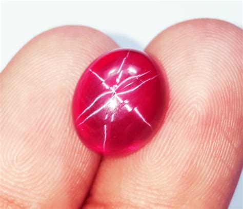 Certified Loose Gemstone 760ct Natural Red Star Ruby 6 Rays Cabochon