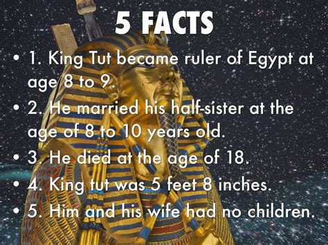 King Tutankhamun Facts King Tutankhamun Tomb King Tutankhamun Death