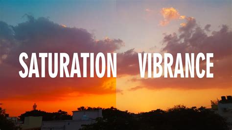 Difference Between Saturation And Vibrance Lightroom Mobile In