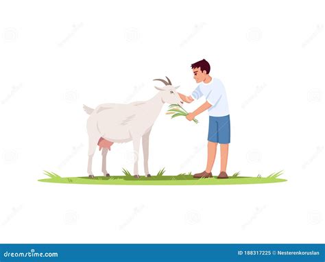 Boy Feed Goat Semi Flat Rgb Color Vector Illustration Stock Vector