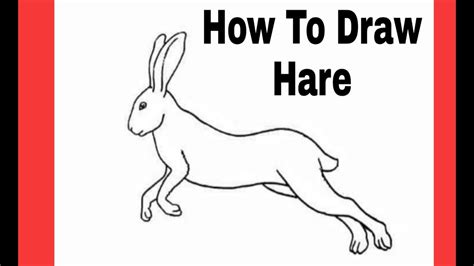 How To Draw A Hare Step By Step Youtube