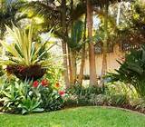 Tropical Backyard Landscaping Ideas Pictures Pictures